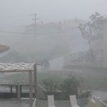 balazsh 2011